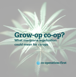 Grow-op Co-op: Cannabis co-ops in Canada