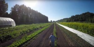 How co-ops can help farmers get started